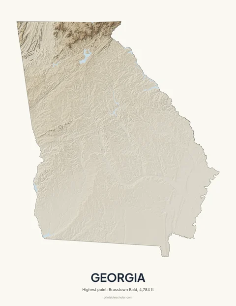 Georgia relief wall art on a light background