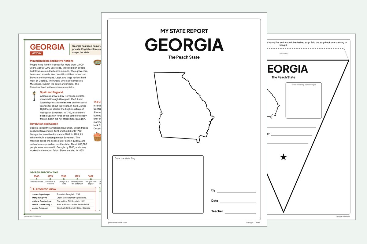 Georgia State Report Kit: the report booklet cover, the history reading page and the pennant