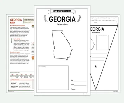 Georgia report kit map