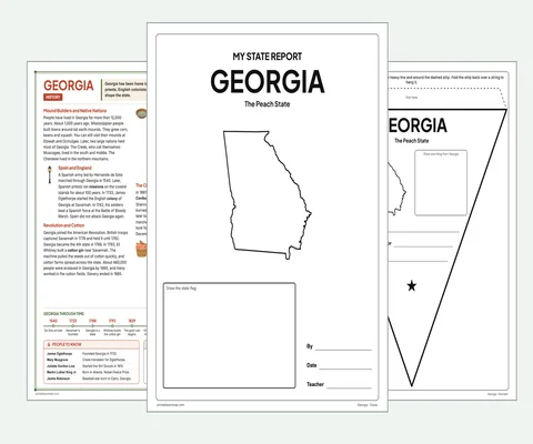 Georgia report kit map