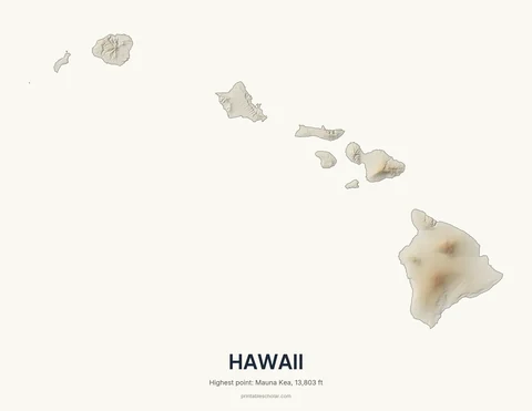 Hawaii relief wall art on a light background