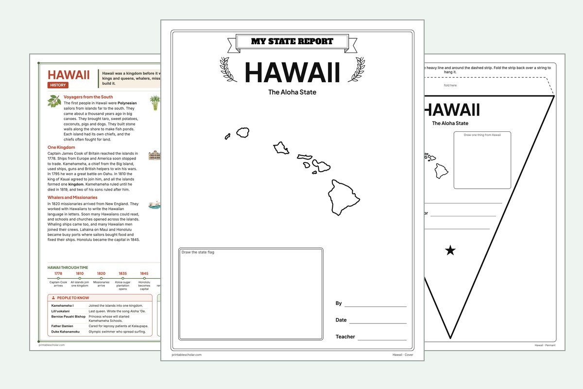 Hawaii State Report Kit: the report booklet cover, the history reading page and the pennant