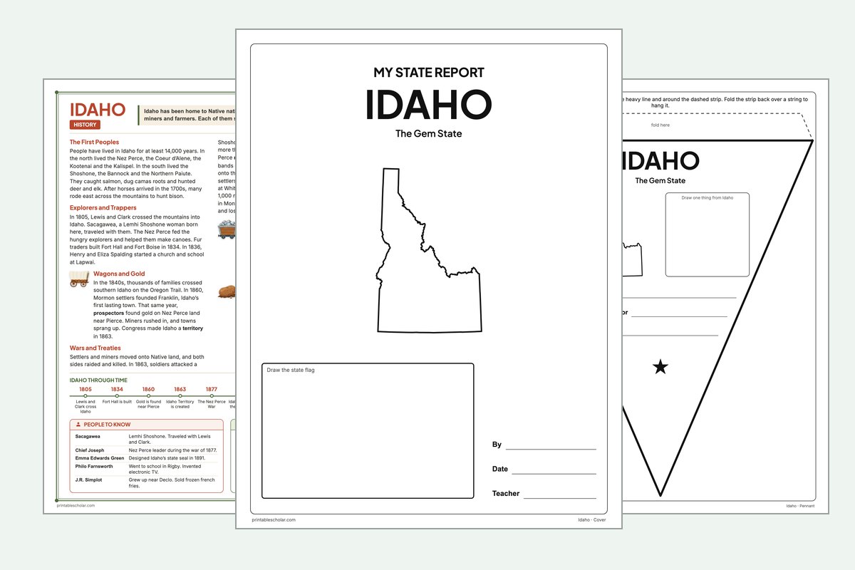 Idaho State Report Kit: the report booklet cover, the history reading page and the pennant