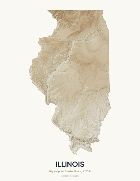 Illinois relief wall art on a light background