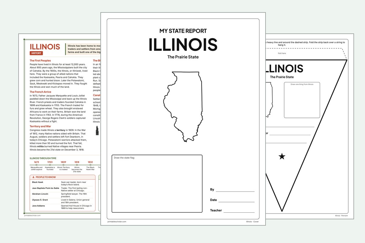 Illinois State Report Kit: the report booklet cover, the history reading page and the pennant