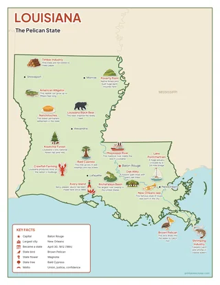 Louisiana illustrated map