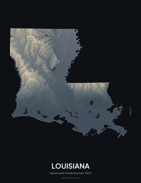 Louisiana relief wall art on a dark background
