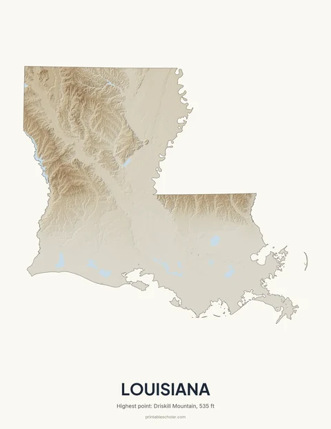Louisiana relief wall art on a light background
