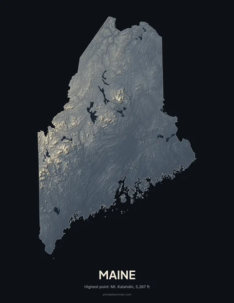 Maine relief wall art on a dark background