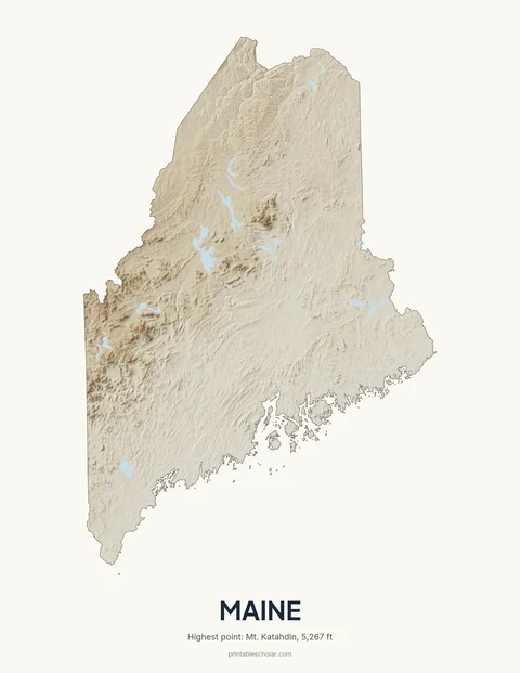 Maine relief wall art on a light background