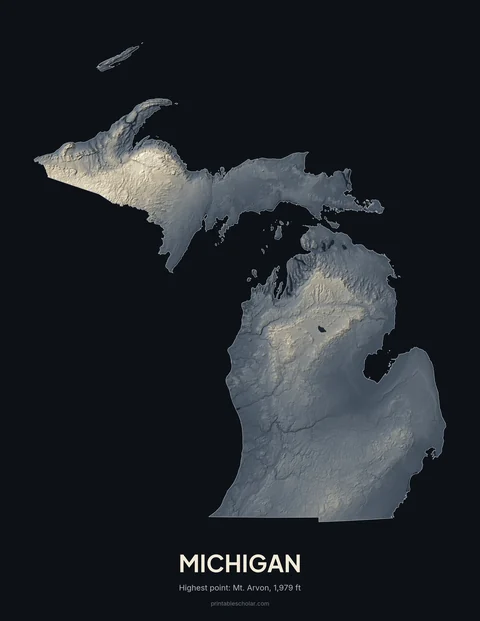 Michigan relief wall art on a dark background