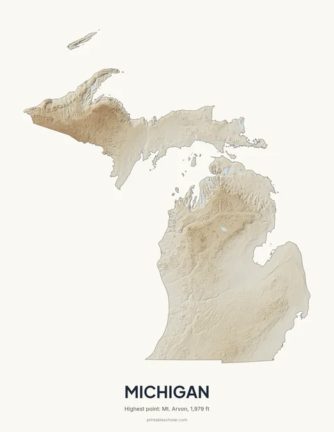 Michigan relief wall art on a light background