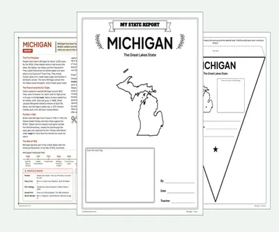 Michigan report kit map