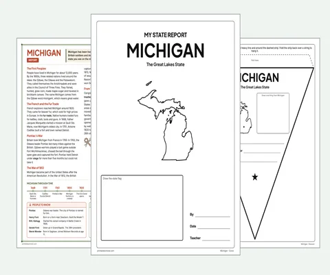 Michigan report kit map