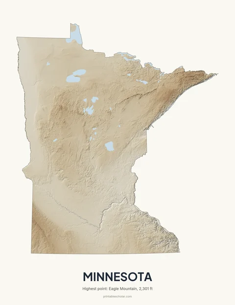 Minnesota relief wall art on a light background