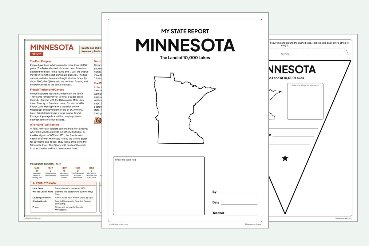 Minnesota State Report Kit: the report booklet cover, the history reading page and the pennant