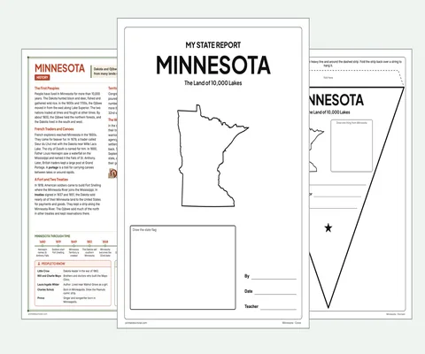 Minnesota report kit map