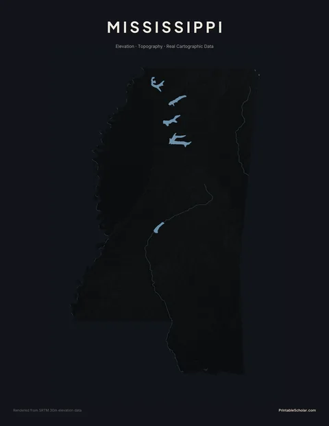 Mississippi topographic relief poster — high-contrast monochrome rendering of the Mississippi Delta, the Loess Bluffs, and the Pine Belt