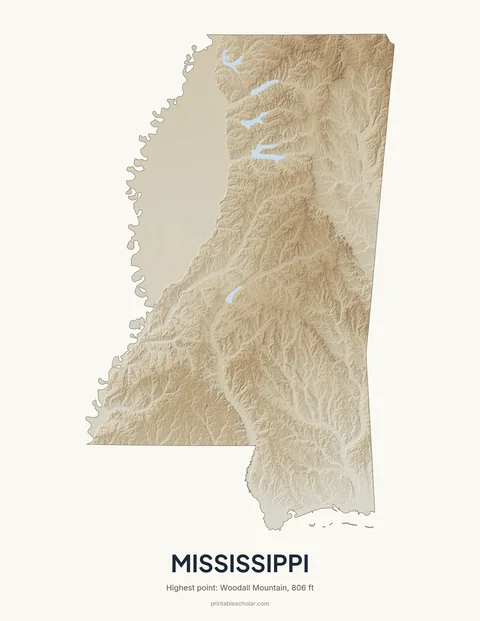 Mississippi relief wall art on a light background