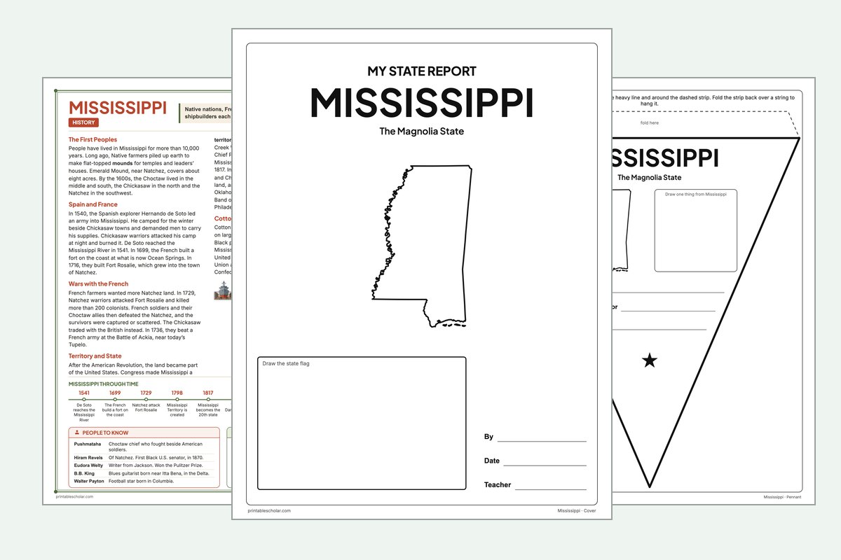 Mississippi State Report Kit: the report booklet cover, the history reading page and the pennant