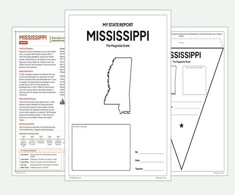 Mississippi report kit map