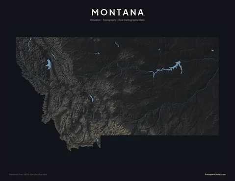 Montana topographic relief poster — high-contrast monochrome rendering of the Rocky Mountains, the Bitterroot Range, the Continental Divide, and the Great Plains