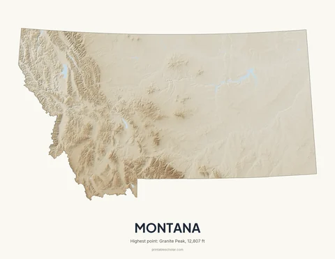 Montana relief wall art on a light background