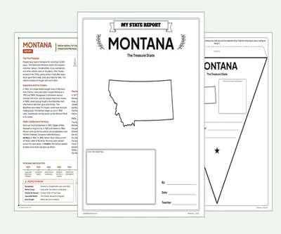 Montana report kit map