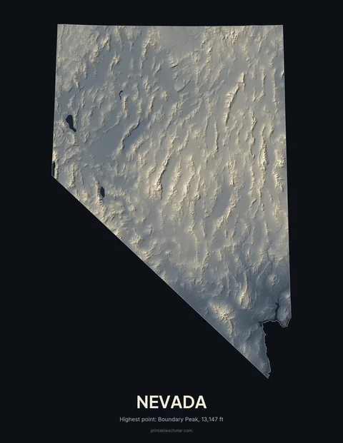 Nevada relief wall art on a dark background