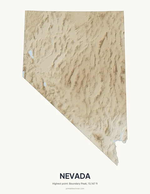 Nevada relief wall art on a light background
