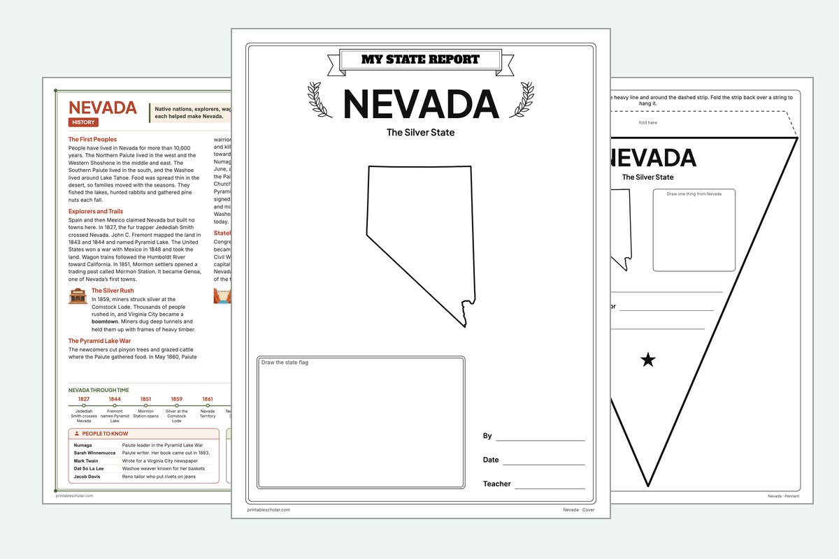 Nevada State Report Kit: the report booklet cover, the history reading page and the pennant