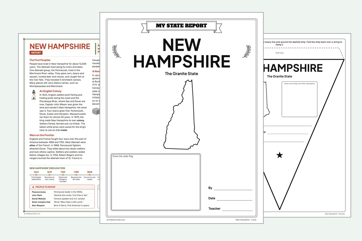 New Hampshire State Report Kit: the report booklet cover, the history reading page and the pennant
