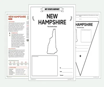 New Hampshire report kit map
