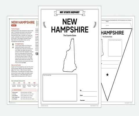 New Hampshire report kit map