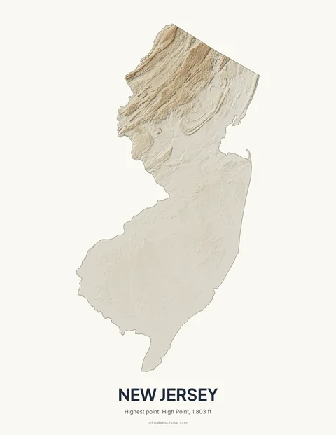New Jersey relief wall art on a light background