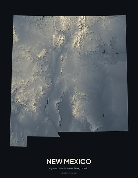 New Mexico relief wall art on a dark background
