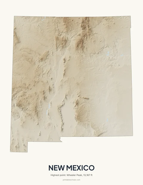 New Mexico relief wall art on a light background