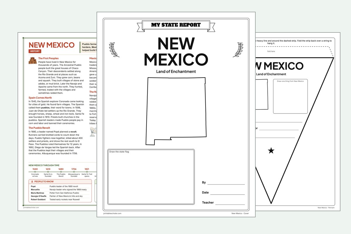 New Mexico State Report Kit: the report booklet cover, the history reading page and the pennant