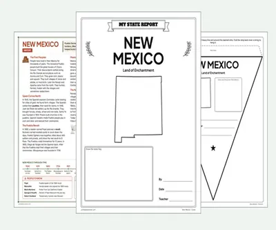 New Mexico report kit map