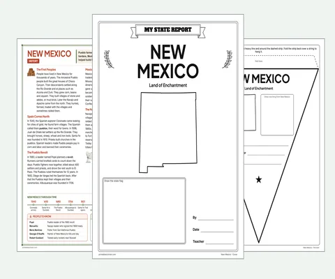 New Mexico report kit map