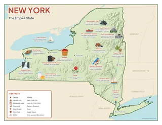 New York illustrated map