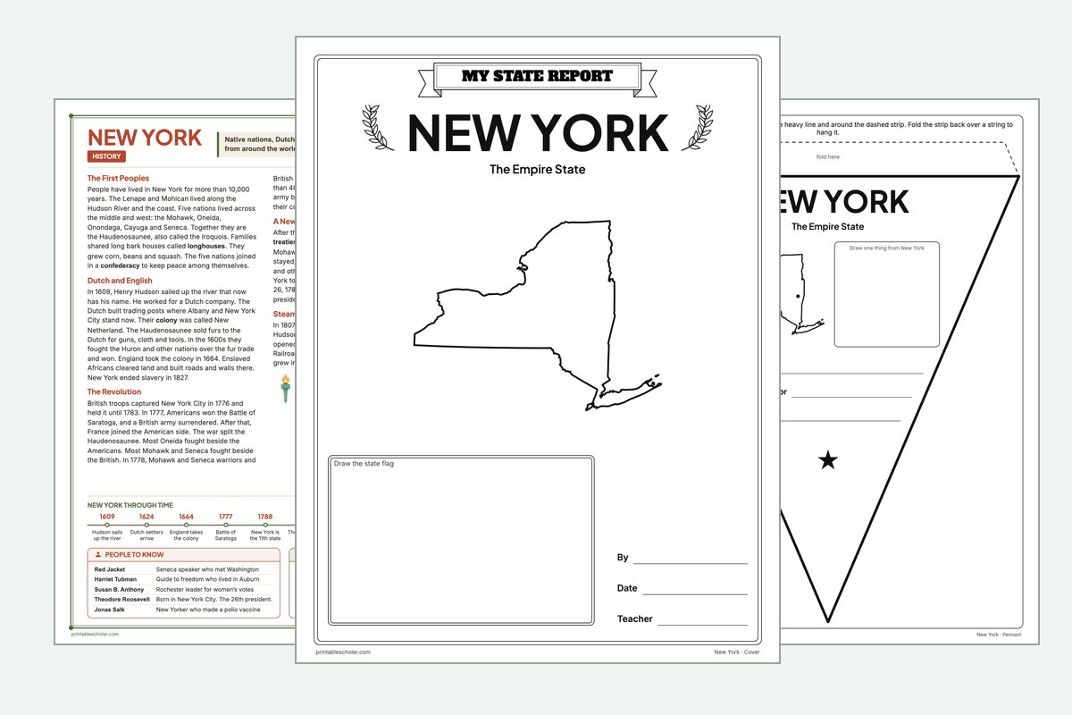 New York State Report Kit: the report booklet cover, the history reading page and the pennant