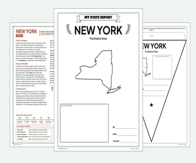 New York report kit map