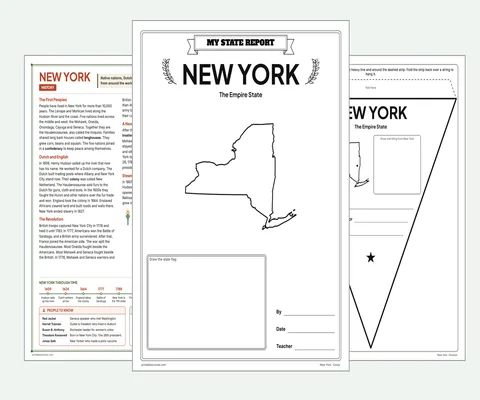 New York report kit map