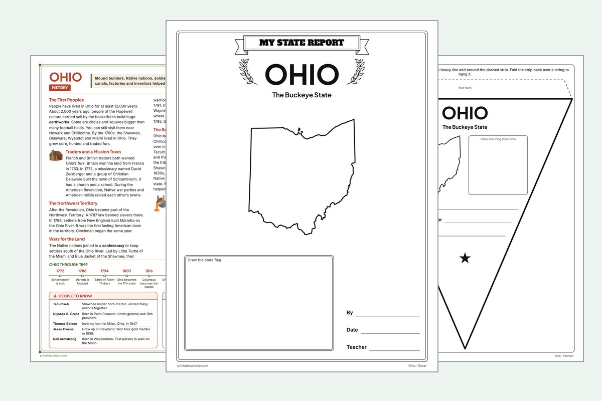 Ohio State Report Kit: the report booklet cover, the history reading page and the pennant