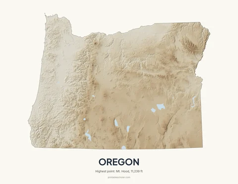 Oregon relief wall art on a light background