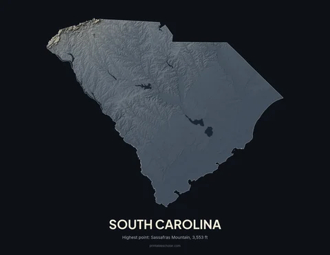 South Carolina relief wall art on a dark background