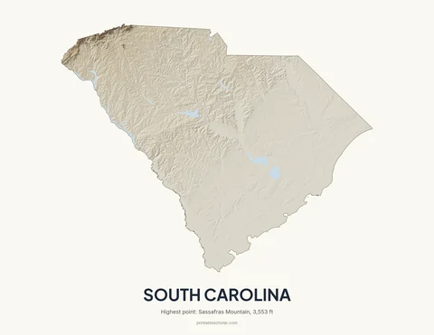 South Carolina relief wall art on a light background