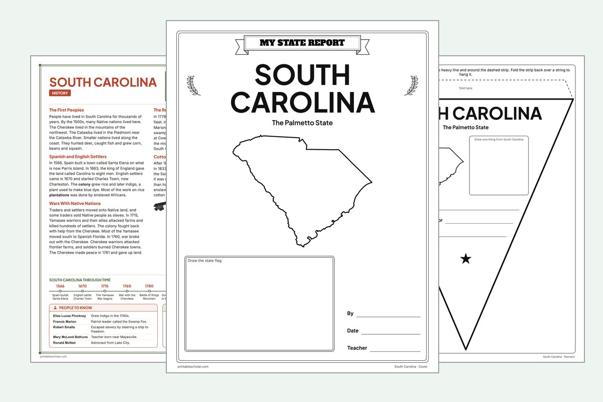 South Carolina State Report Kit: the report booklet cover, the history reading page and the pennant