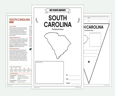 South Carolina report kit map